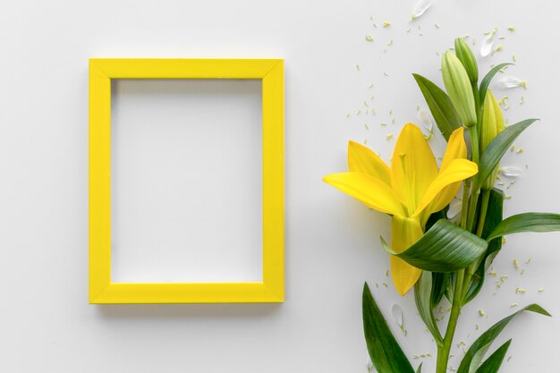 Elevated view of fresh yellow lily flowers with blank empty photo frame above white surface