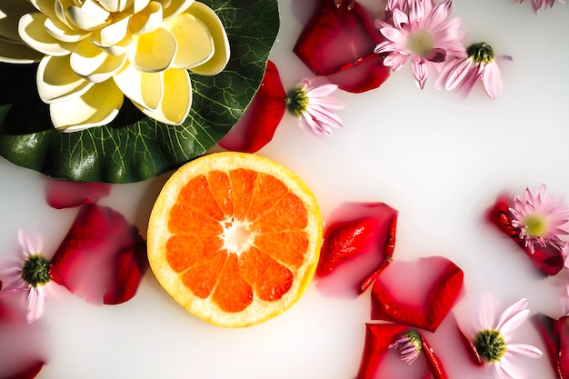 Elevated view of grapefruit, flowers and petals on clear white water