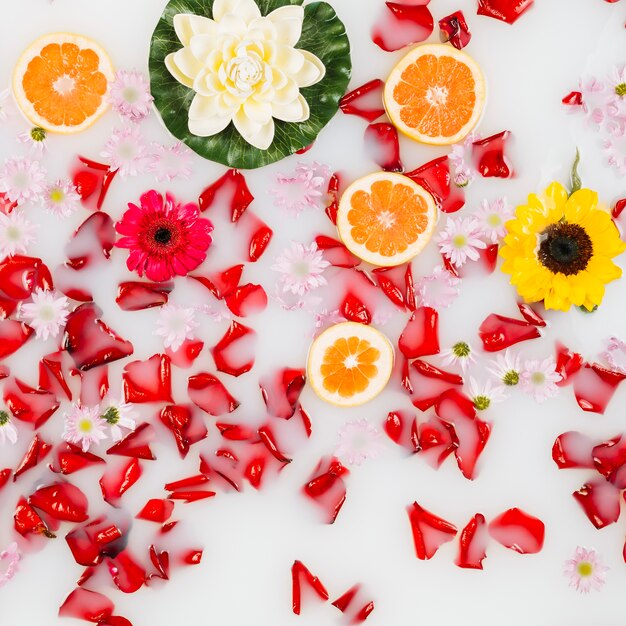 Elevated view of grapefruit slices with flowers and petals floated on clear white water