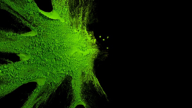 Повышенный вид зеленого цвета Холи на черном фоне