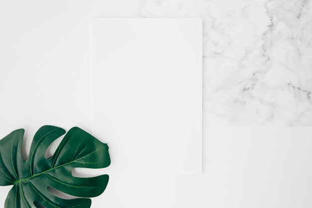 책상 위에 흰색 빈 카드에 녹색 몬스 테라 잎의 높은보기
