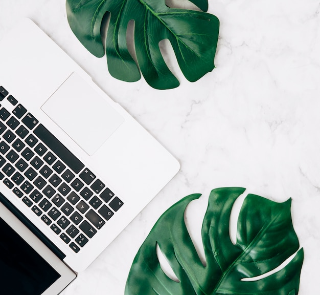 Free Photo an elevated view of green monstera leaves with laptop on white desk