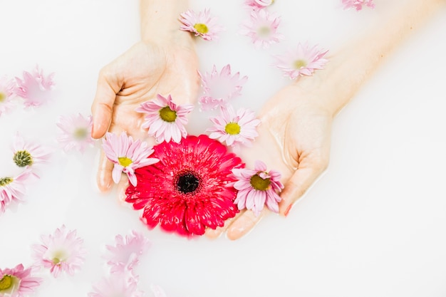 浴場の水で赤とピンクの花を持っている人間の手の高さのビュー