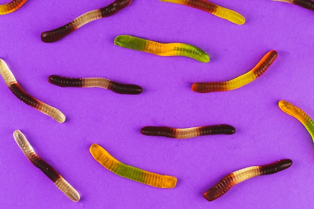 Elevated view of jelly worms on purple background
