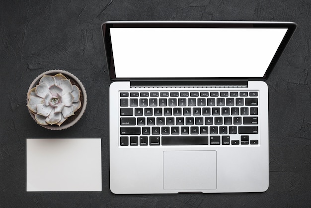 Elevated view of laptop; blank paper and succulent plant on black surface