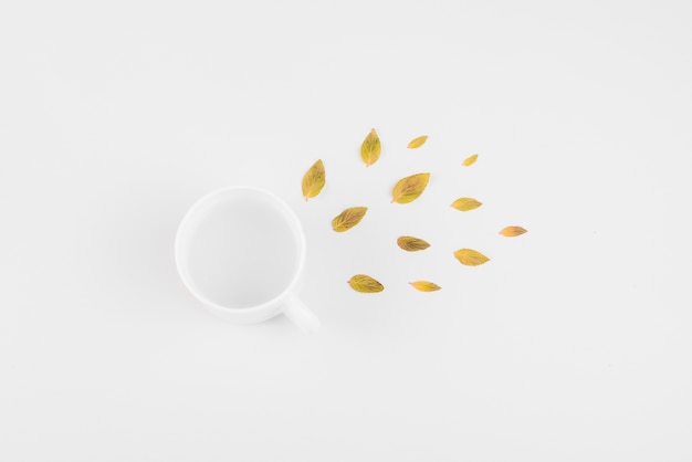 Elevated view of leaves and tea cup on white surface
