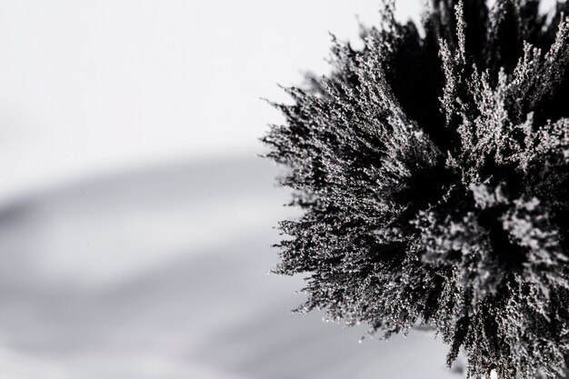 An elevated view of magnetic metallic shaving on grey background