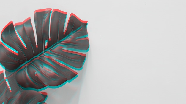 An elevated view of monstera leaf with red and turquoise light on white backdrop