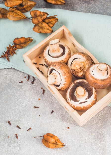 Foto gratuita vista elevata dei funghi in cestino vicino ai chiodi di garofano; foglie di koelreuteria paniculata e anice stellato su fondo in cemento