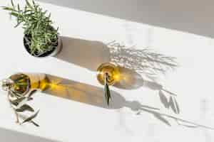 Бесплатное фото Повышенный вид розмарина горшок с двумя бутылочками оливок под солнечным светом