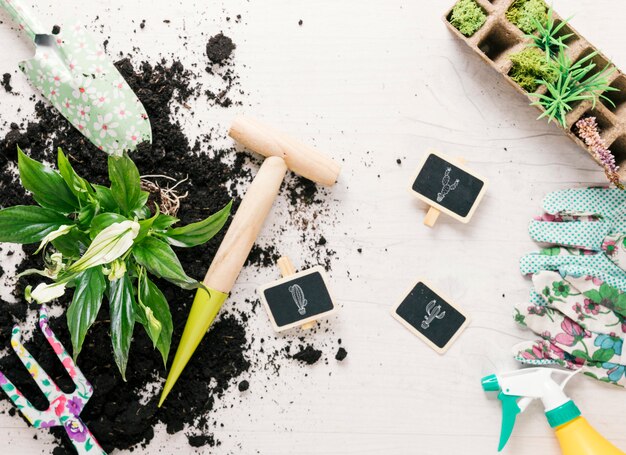 Elevated view of plant; soil; gardening glove; rake; showel; sprayer; peat tray; stake and dibber on wooden desk