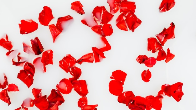 Elevated view of red rose petals floating on water