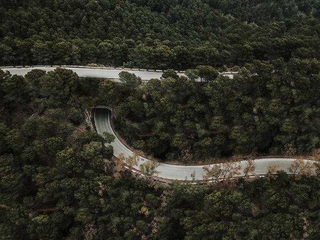 Elevated view of road in forest landscape