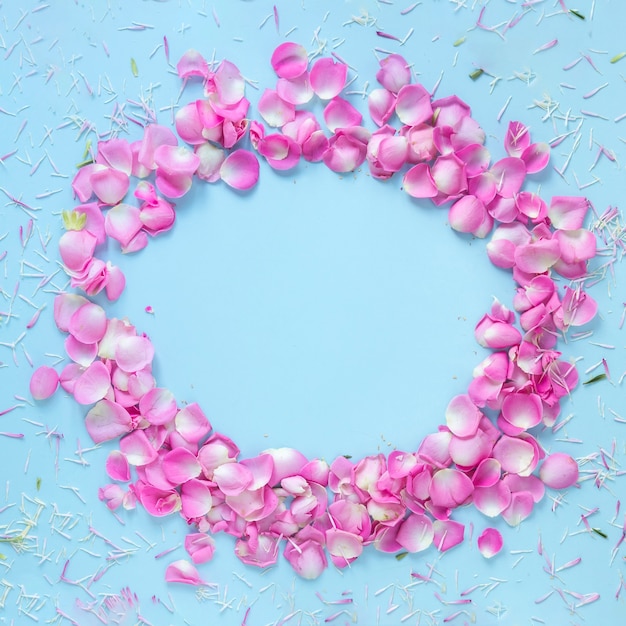 Elevated view of rose petals forming circular frame on blue background