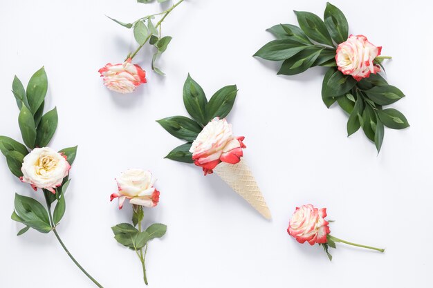 Elevated view of rose in waffle ice cream cone on white background