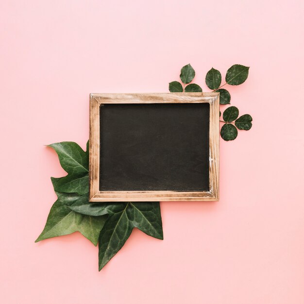 Elevated view of slate over tropical leaves on pink surface