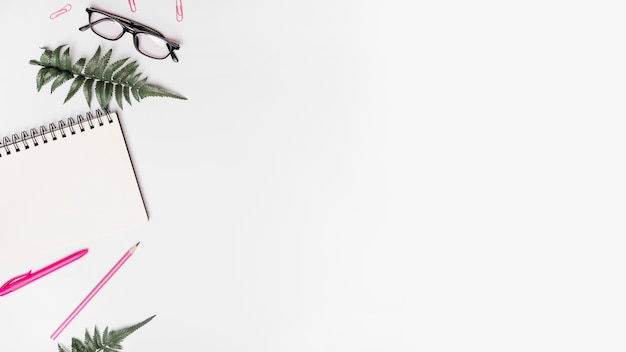 Elevated view of spiral notepad; pen; pencil; artificial fern; spectacles and paper clips on white backdrop