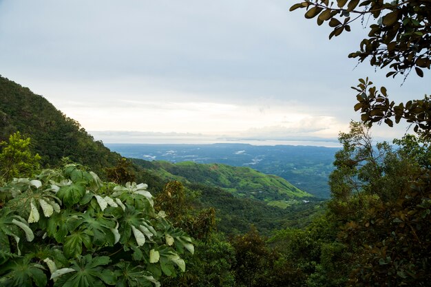 Elevated view of tropical mountain in costa rica