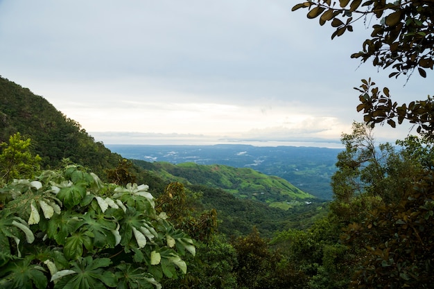 コスタリカの熱帯山の立面図