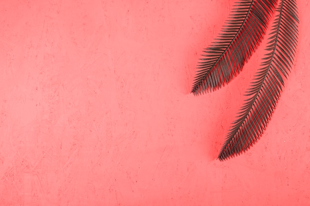 An elevated view of two green palm leaves on textured coral backdrop