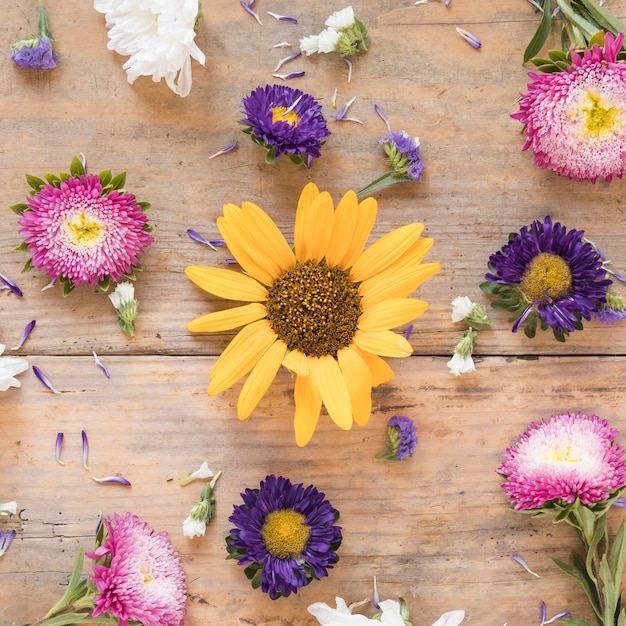 Elevated view of various colorful flowers on wooden surface