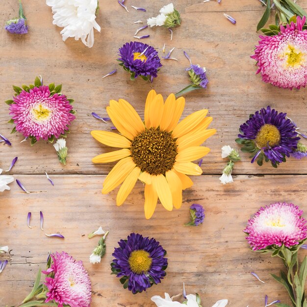 elevated view of various colorful flowers on wooden surface