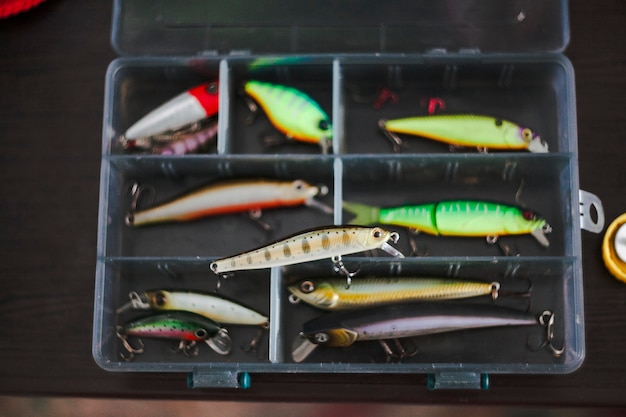 Elevated view of various fishing lures in box