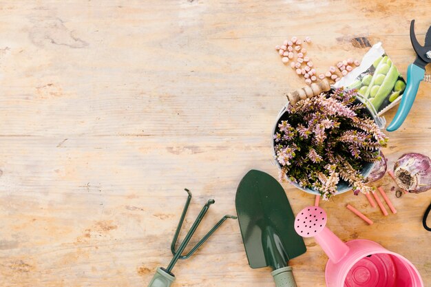 Elevated view of watering can; gardening tools; potted plant; onion; seeds; and pruner on wooden background