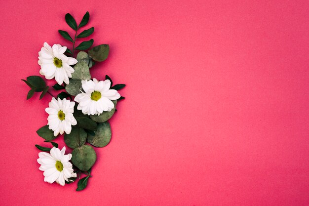 Elevated view of white flowers and leaf decorated on red background