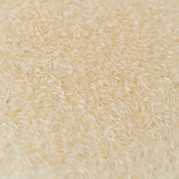 Elevated view of white rice backdrop