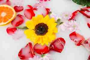 Free photo elevated view of yellow flower with petals and grapefruit in spa bath with milk