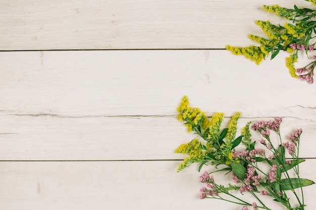 An elevated view of yellow goldenrods or solidago gigantea and limonium flowers on wooden backdrop