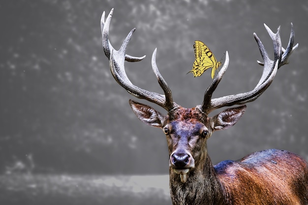 Free photo elk head and a yellow butterfly on it