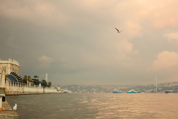 보스 선박의 다리와 하늘을 나는 갈매기의 우울한 날 전망에 이스탄불 시의 제방