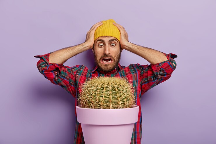 मुफ़्त फोटो embarrassed man stares at big cactus plant, keeps both hands on head, wears yellow hat and checkered shirt