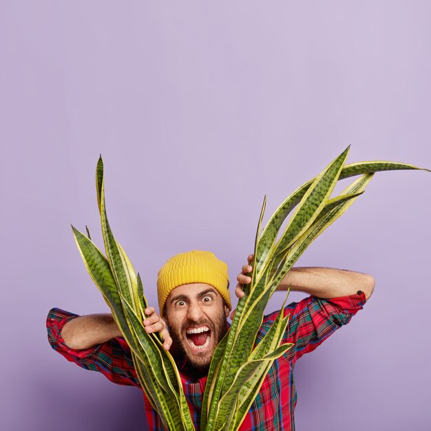 感情的にイライラする白人男性の花屋は、倦怠感のために否定的に悲鳴を上げます。