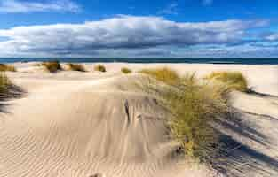 Foto gratuita le spiagge deserte in primavera