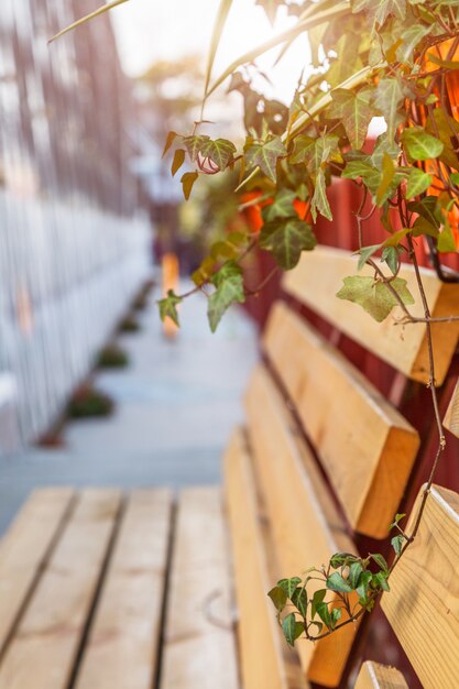 empty bench on pavement