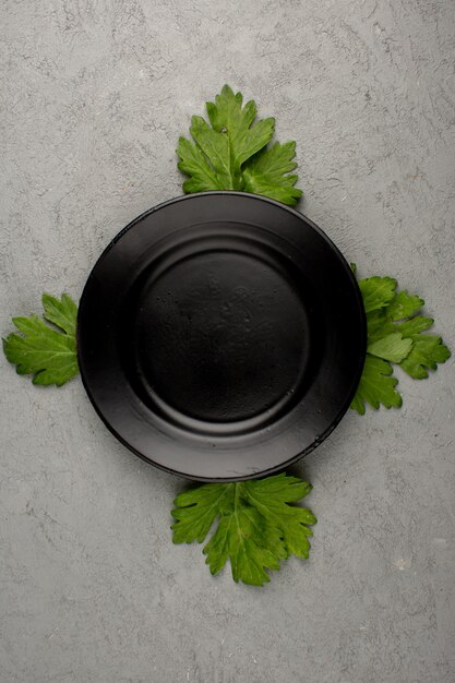 4 개의 녹색 주위 빈 검은 접시에 밝은 잎
