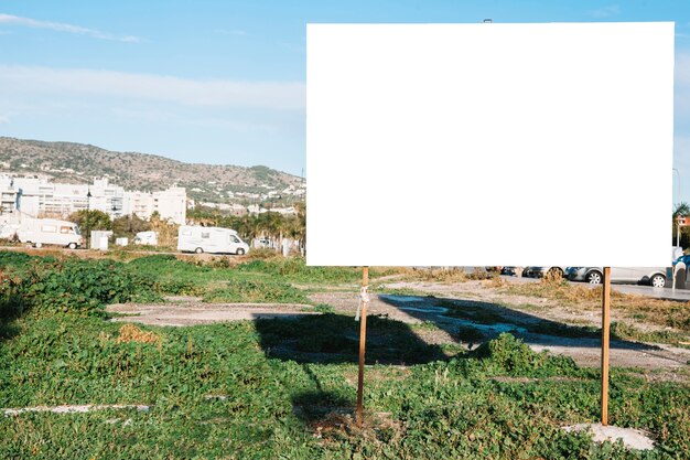 Empty blank signpost on green city lawn