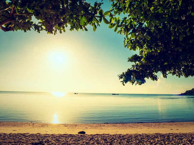 Empty chair on the tropical beach sea and ocean