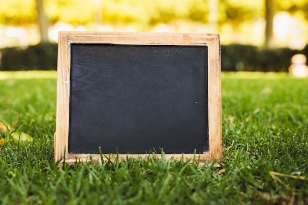 Empty chalkboard on green grass