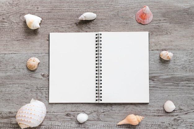 Free photo empty diary and sea shell arranged on table