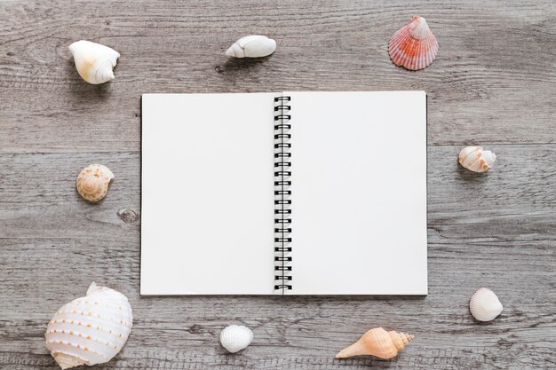 Empty diary and sea shell arranged on table