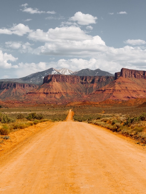 Empty dirt road amidst dry bushes leading to the desert