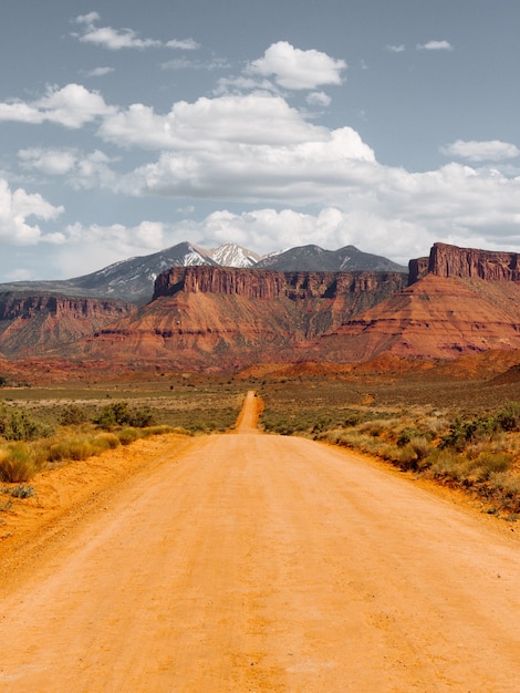 Пустая грунтовая дорога посреди сухих кустов в сторону пустыни