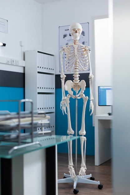 Empty doctors office with nobody in it equipped with human anatomical skeleton ready for osteopathy examination. Medical workplace equipped with modern professional tools. Body backbone structure