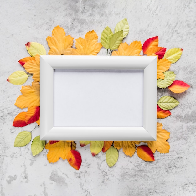 Free photo empty frame on autumn leaves