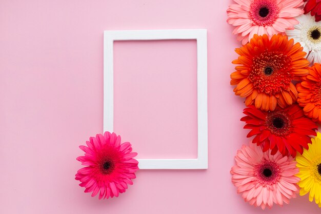 Empty frame with gerbera daisy flowers