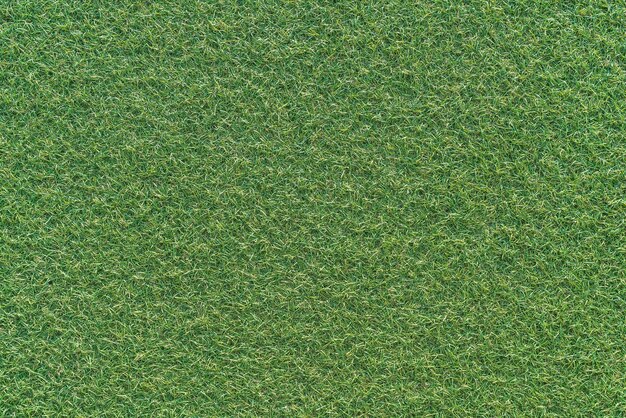 Free Photo empty grass background